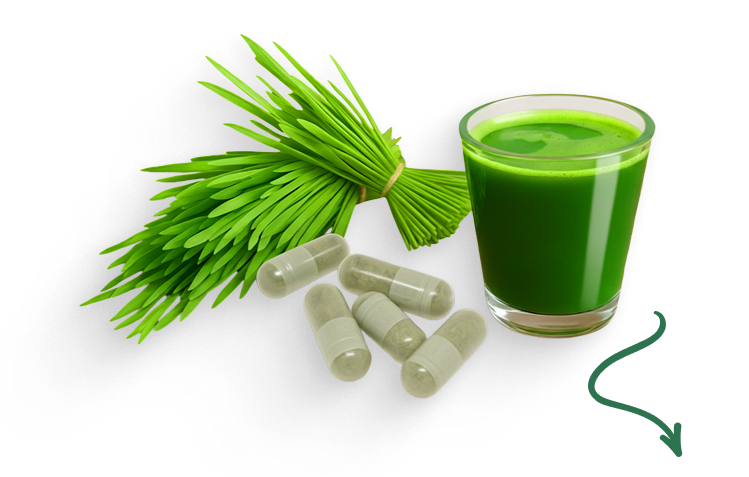 NaturalWay - Zasto speltina trava